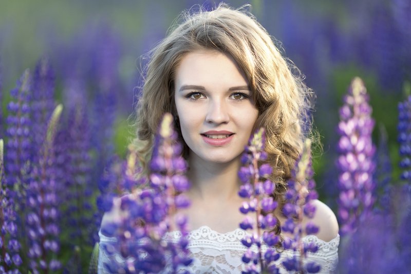 Among the lupins фото превью