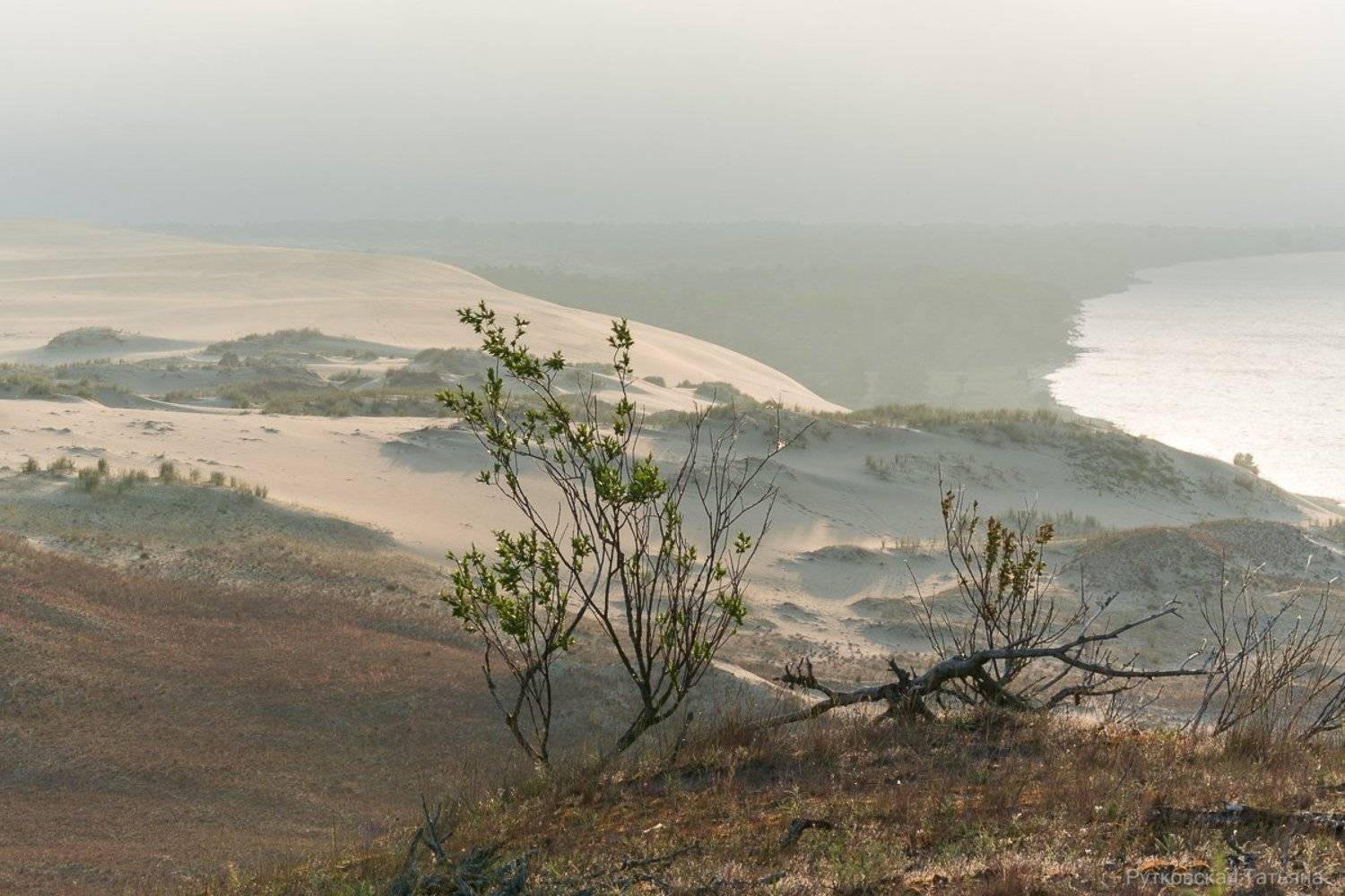 , Татьяна Рутковская