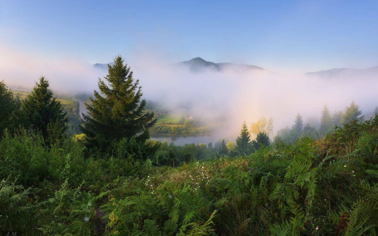 лето, панорама, пейзаж, Прикарпатье, путешествие, река, туман, Утро, Рыбник, Стрий, mist, view, foggy, pine trees, Stryi, fog, Landscape, light, morning, mountains, panorama, river, travel, Ukraine, Ivan Maljarenko 