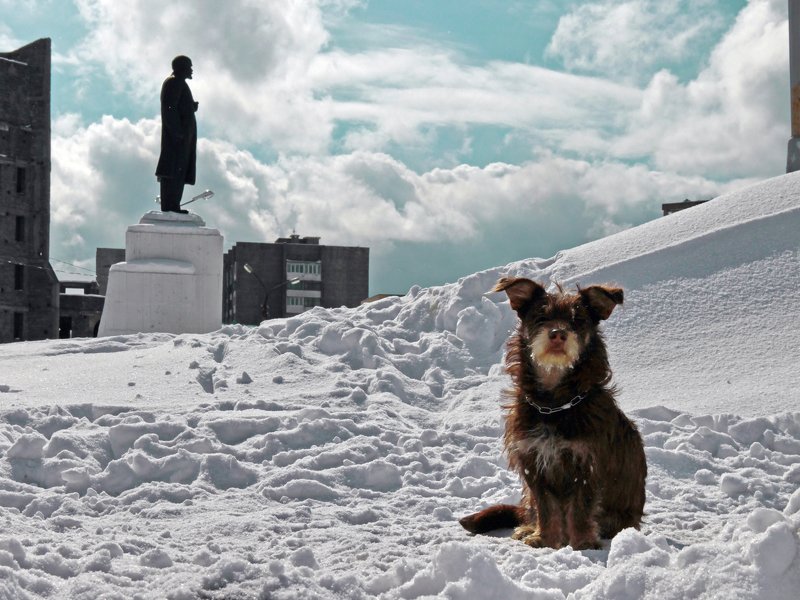 фото превью