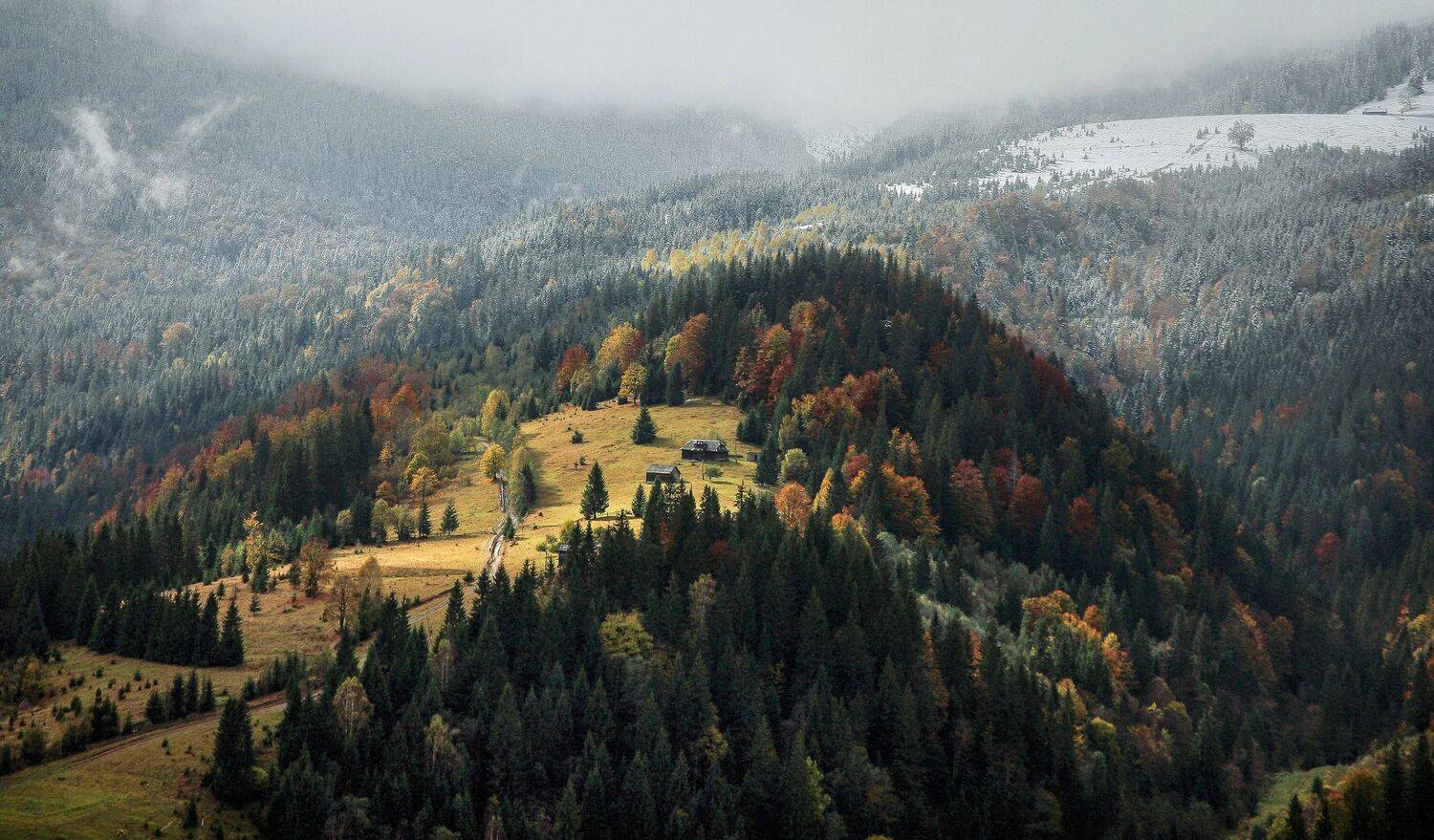 , Милокост Алексей