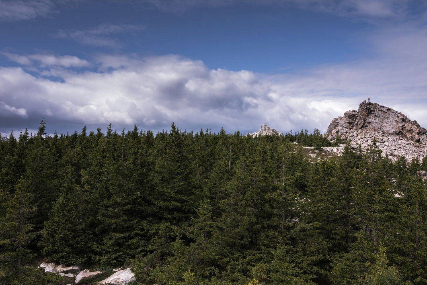 , Андрей Шарапов