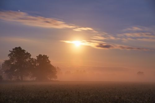 Ночь в Июле