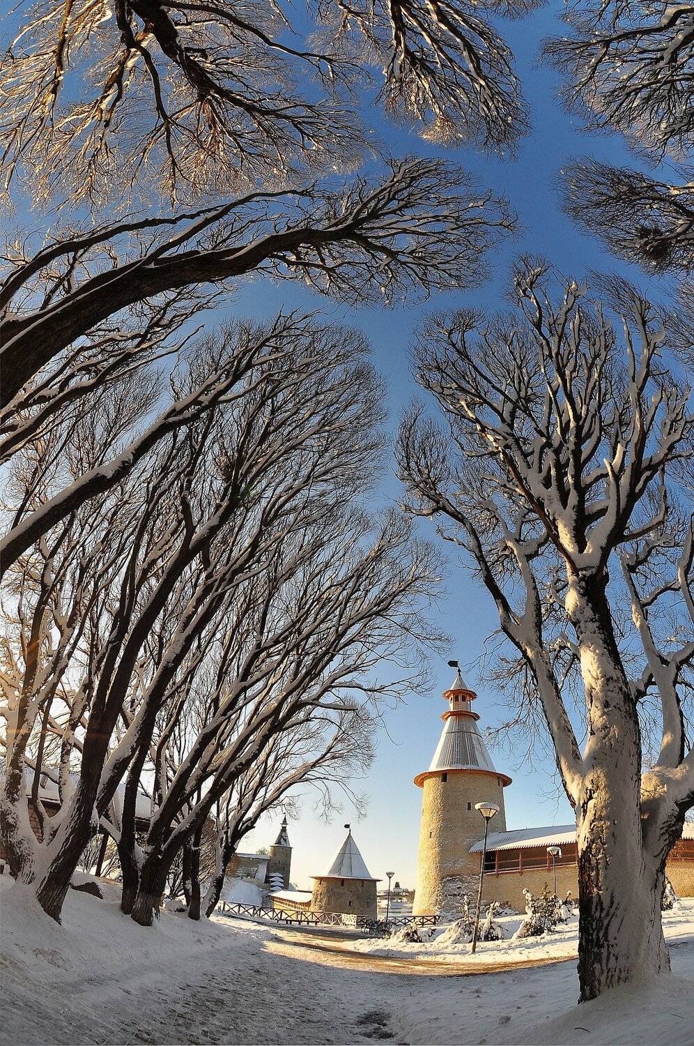 городской пейзаж, псков, собор, зима, зимний день,россия, Юрий Яковлев