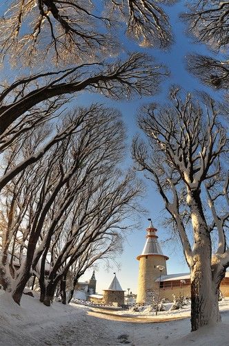 В последний день зимы.