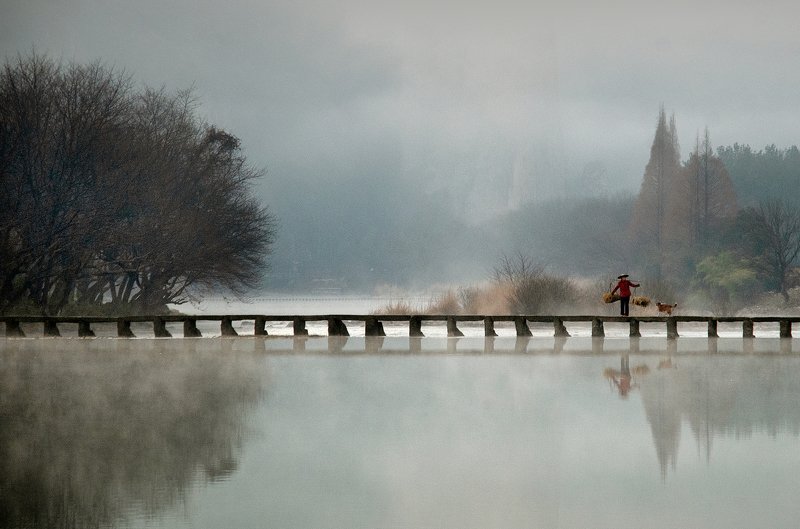 #landscape #Fineart Life I фото превью