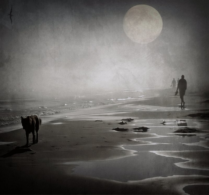 Sleepwalkers... фото превью