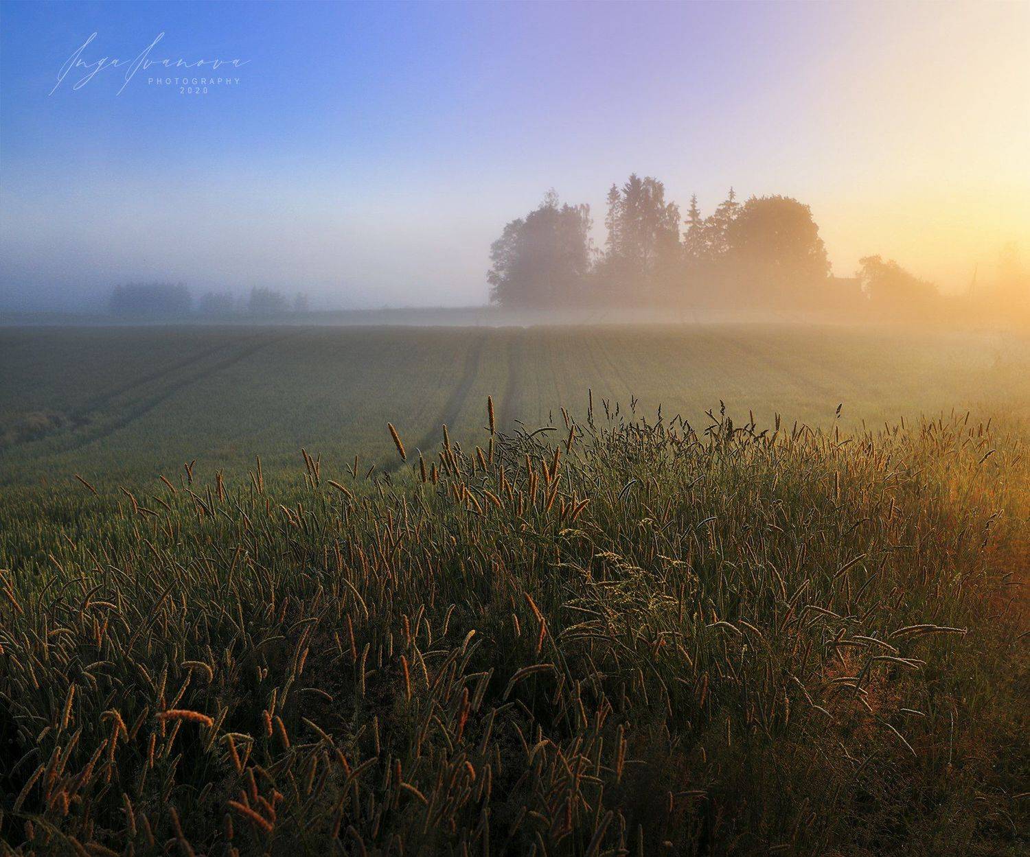 пейзаж, Инга Иванова