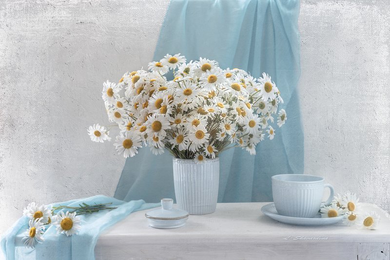 Ромашковое утро фото превью