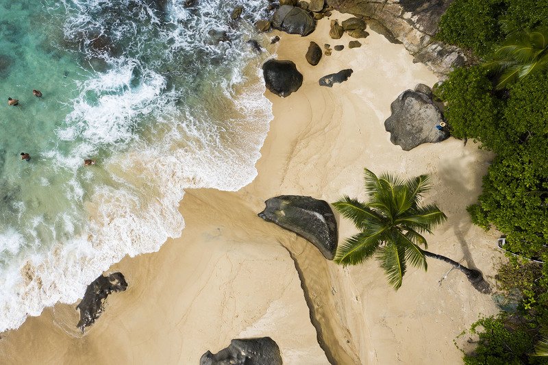 Море, пляж, берег, Сейшелы, аэро, коптер Дикий пляж фото превью