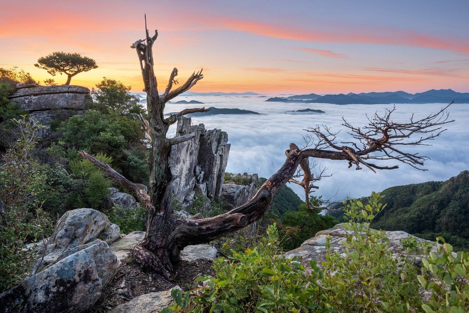 mountains,peak,hiking,fog,clouds, Jaeyoun Ryu
