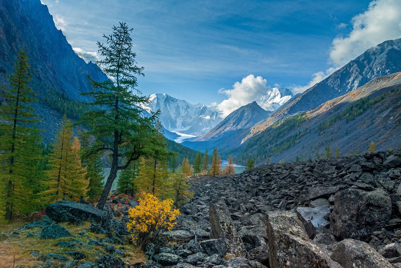 Маашей фото превью