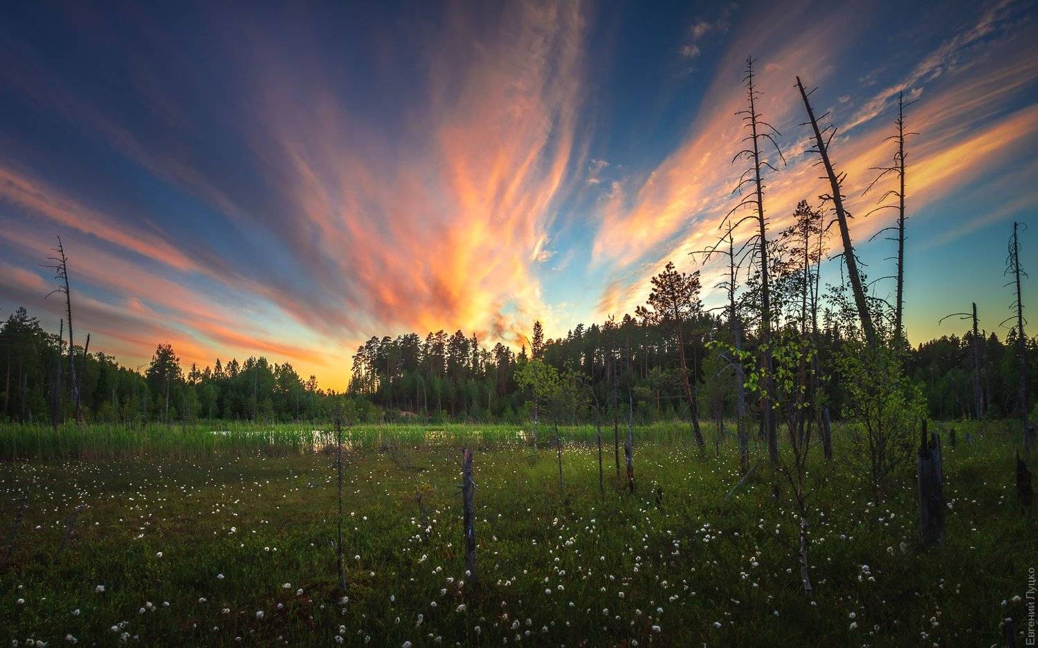 , Евгений Луцко