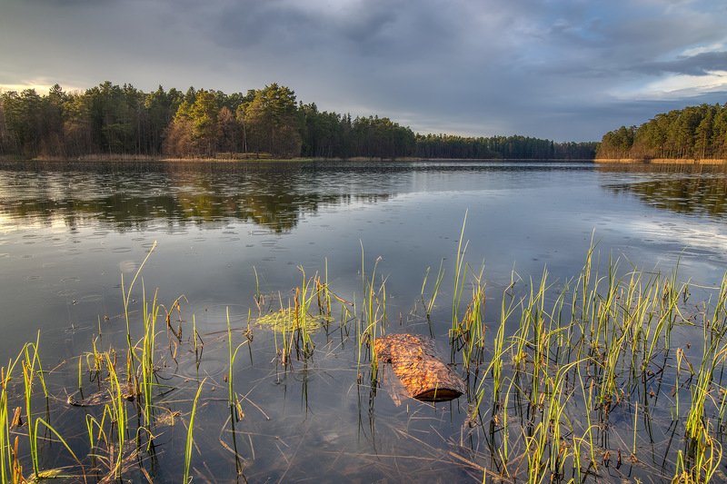 Дождь фото превью