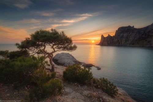 Наблюдатель за солнцем