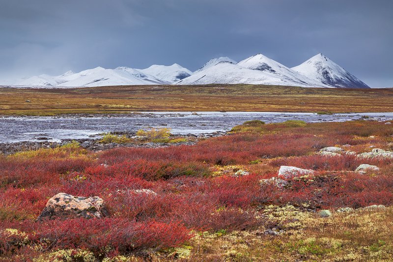Чибагалах, Индигирка, Табандинская впадина, озеро Тобандя, водораздел, Чемалгинский хребет, хребет Черского, Момский район, Якутия, экспедиция, фотоэкспедиция, конный поход, тундра, горная тундра, крайний север, заполярье Алая тишь фото превью