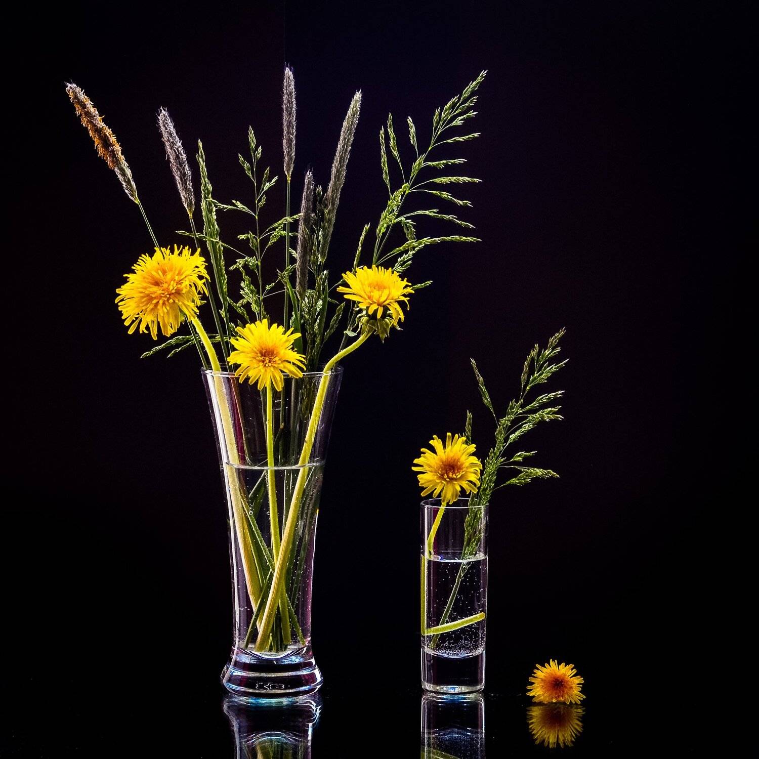 абстракция, фотография, натюрморт, одуванчики, весна, лето, Валерий Верещако