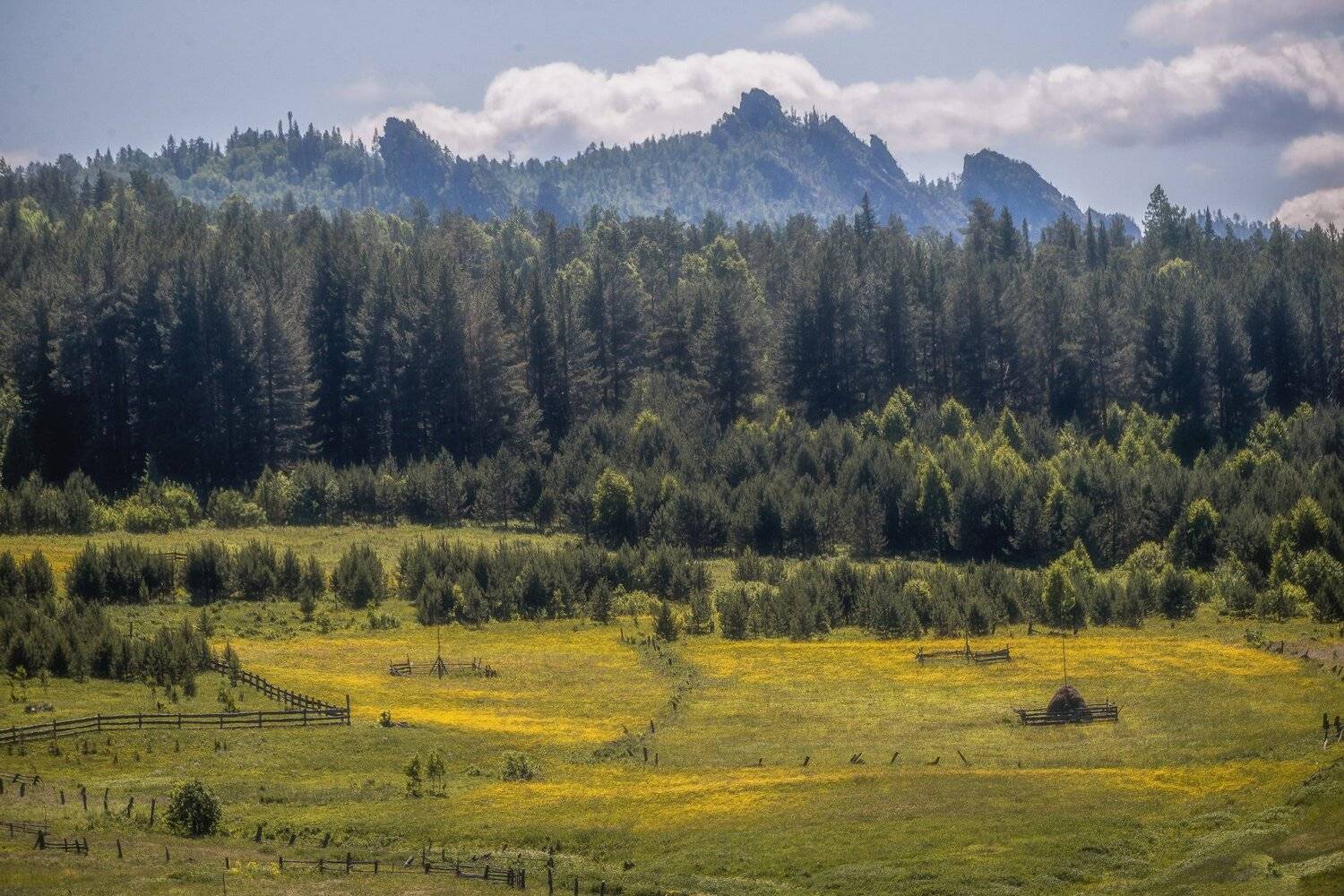 пейзаж, горы, лес, день, поле, сенокос, альпы, хребет, Даниил Силантьев