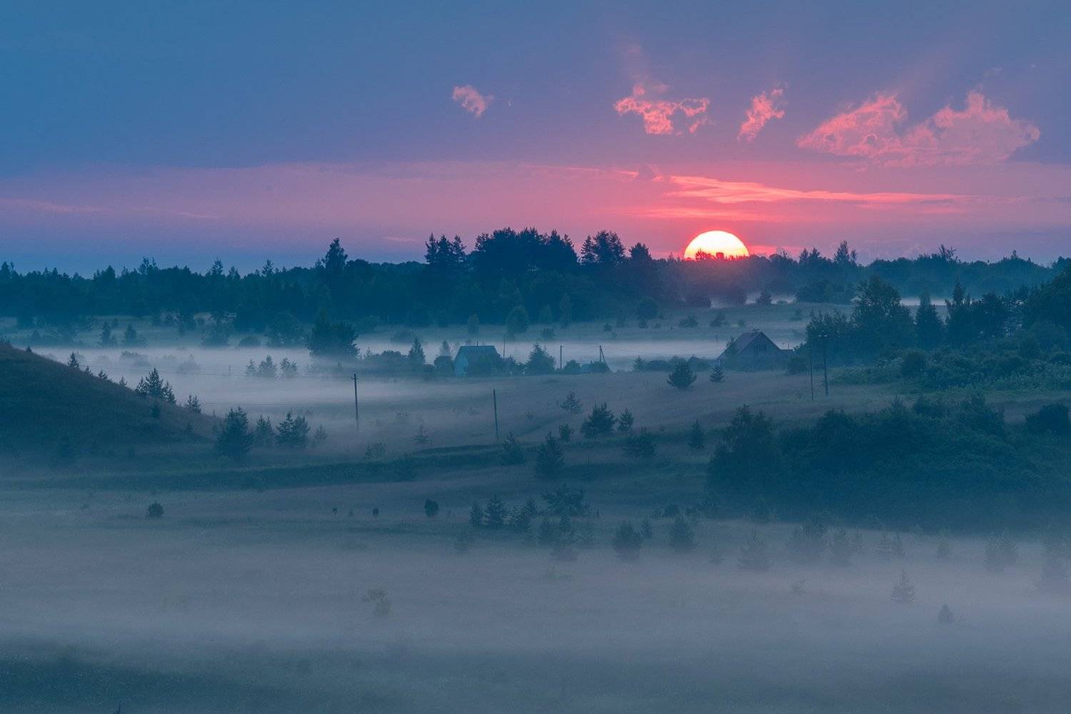 , Роман Фабричный