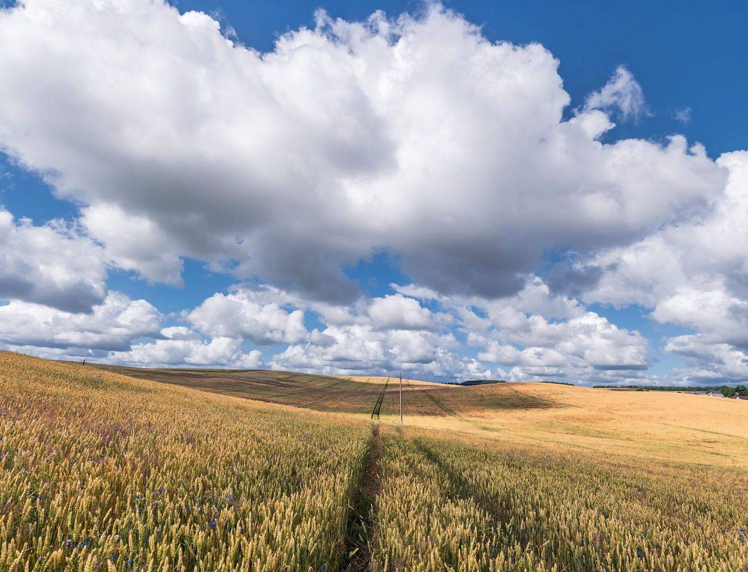 , Руслан Авдевич