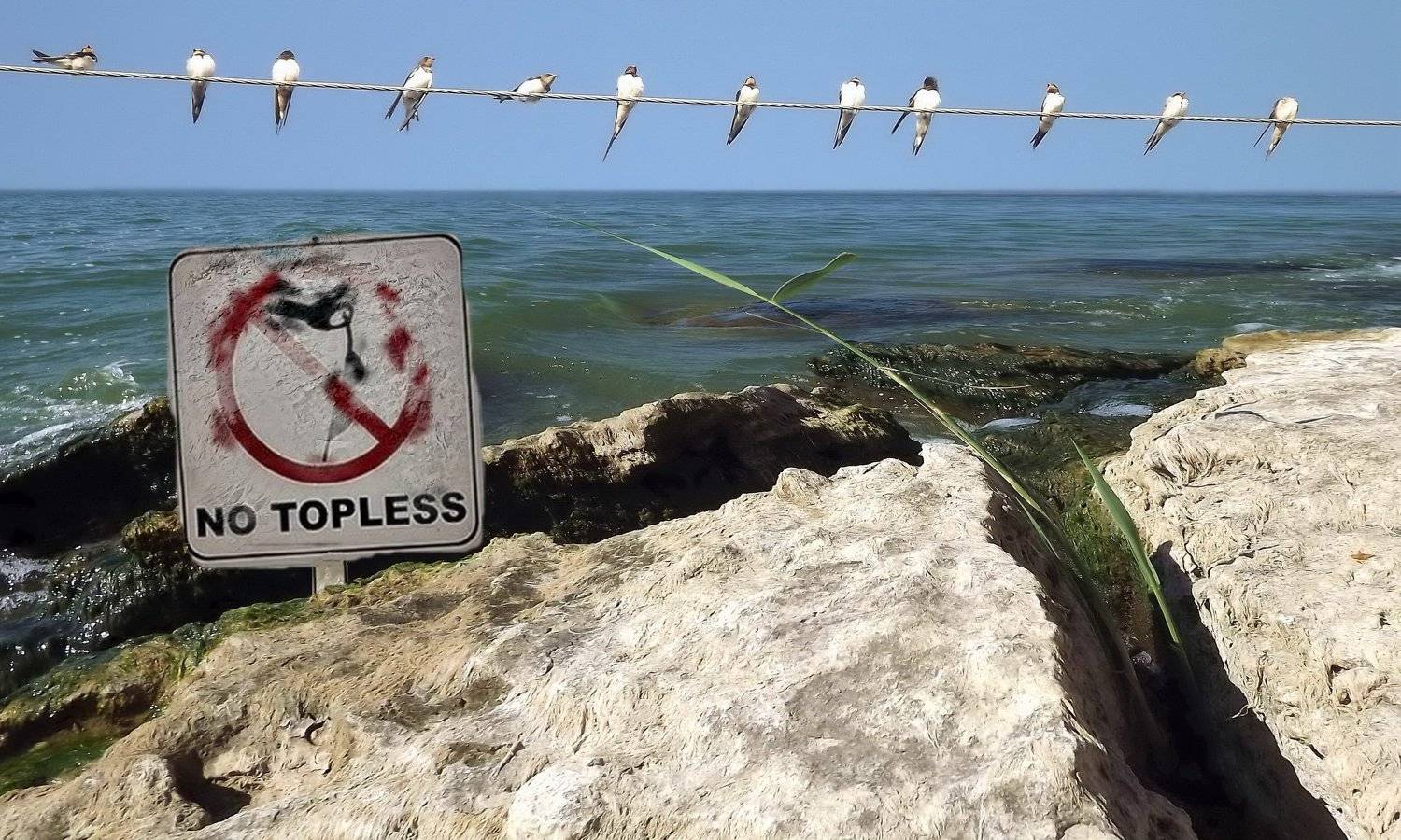 одесса, Сергей Кошелев