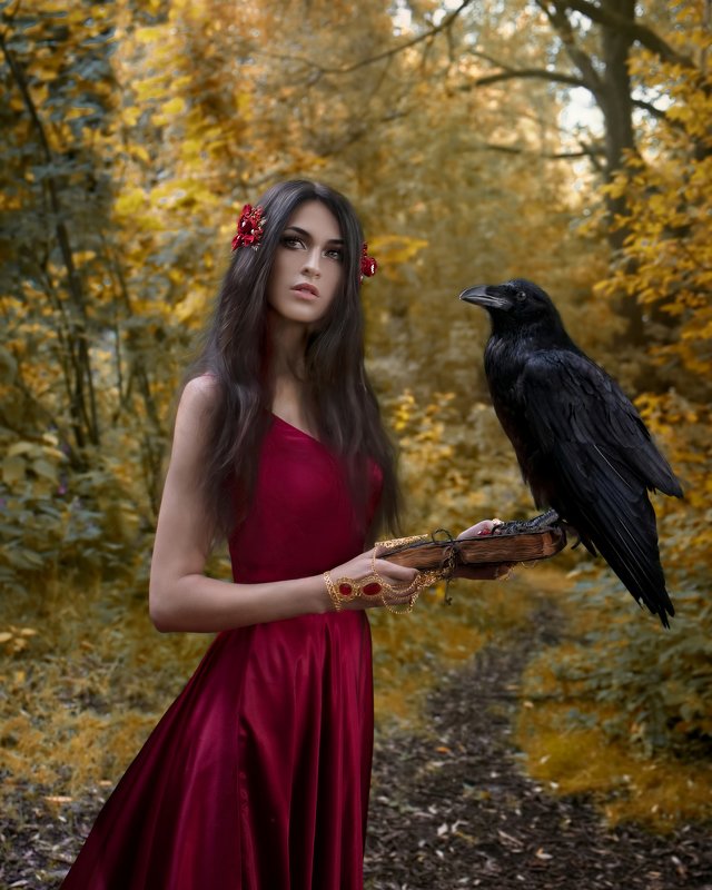 артфото, артфотография, файнарт, сказка, fineart, artphoto, ворон, осень, колдовство Волшебница осеннего леса фото превью