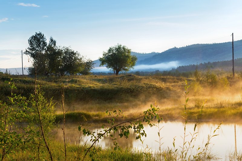 туман, утро Утренний туман фото превью