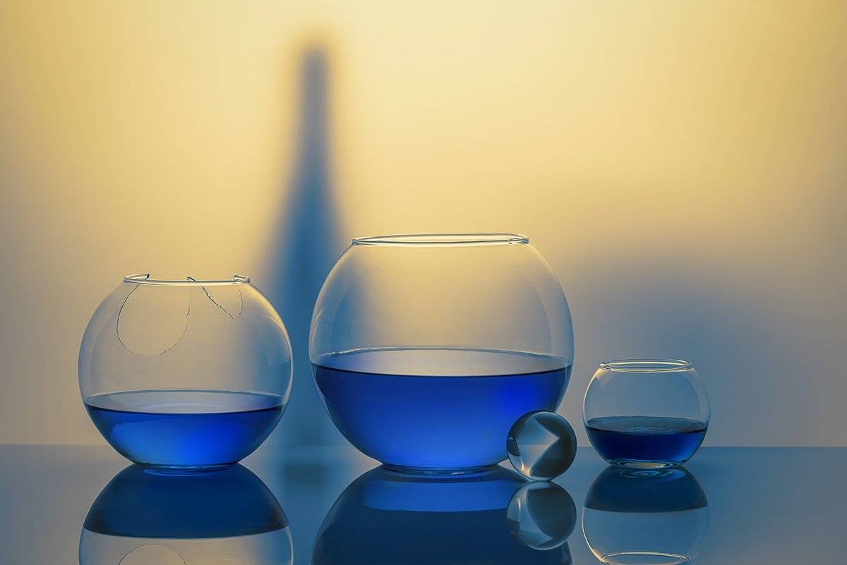 , Евгений Попов