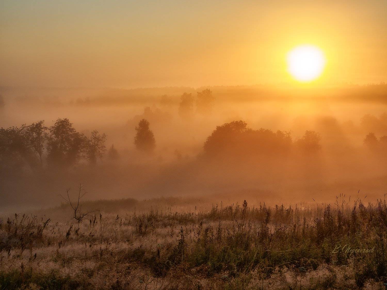 , Владимир Перепечаев