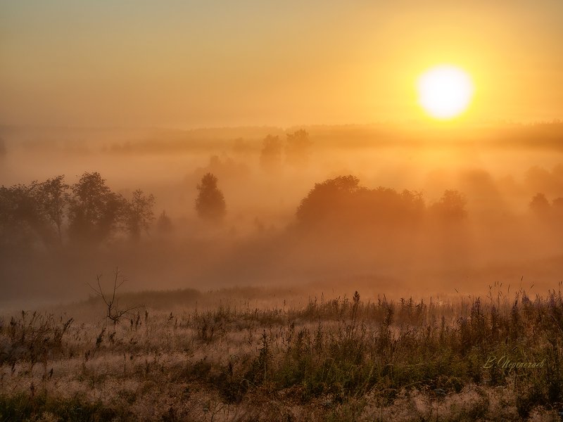 *** фото превью