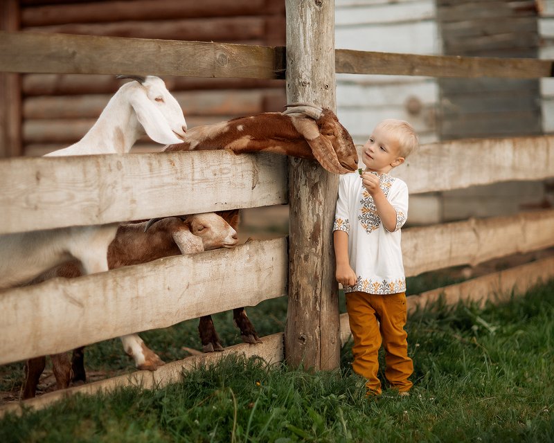 семейноефото Кирюша и козочки фото превью