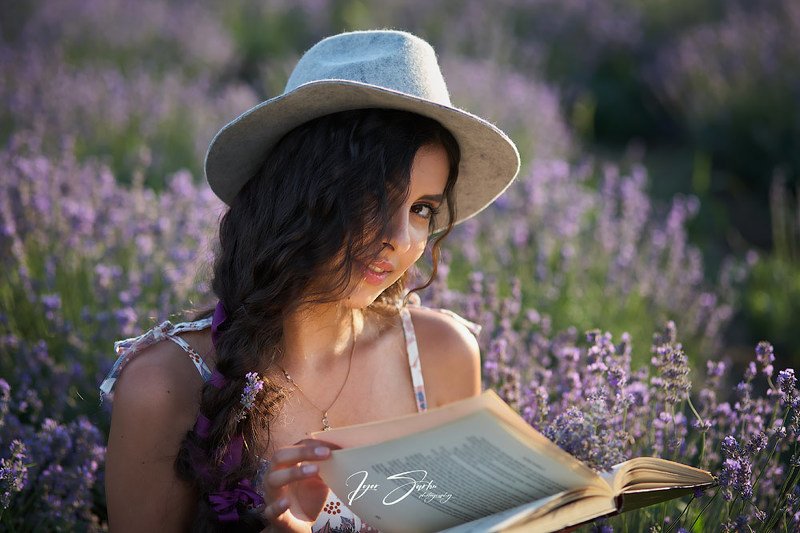 Lecture фото превью