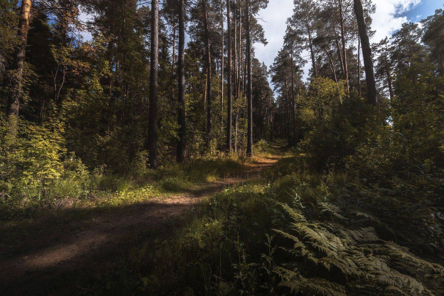 , Андрей Шарапов