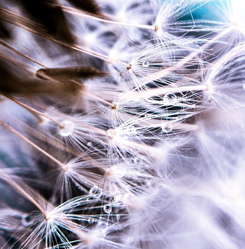 Drops фото превью