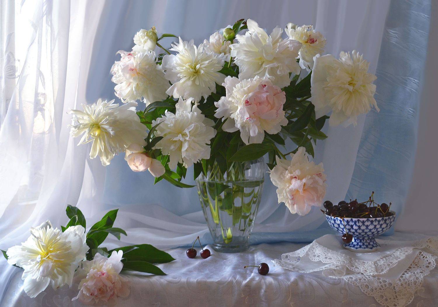 still life, натюрморт, цветы, фото натюрморт, пионы,   настроение,лето, июль,вишня, вечер, закат, Колова Валентина