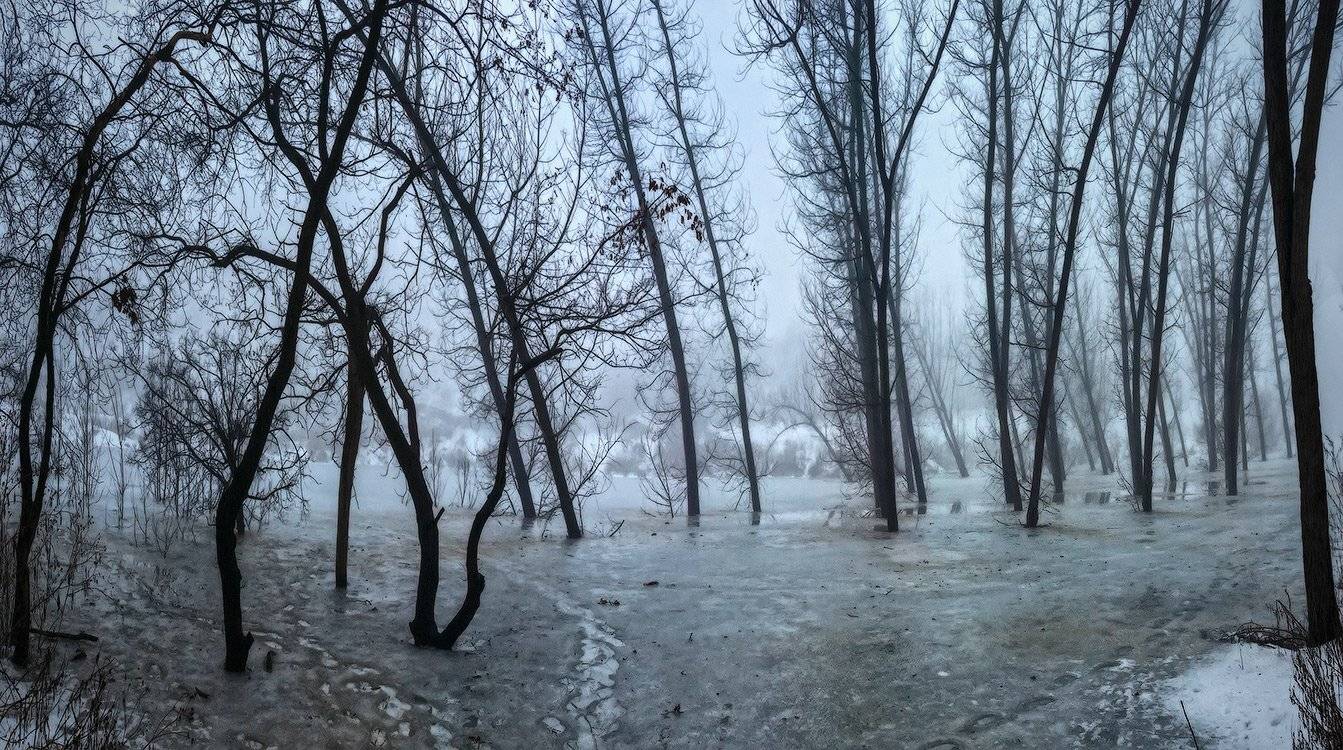 , Игорь Мелекесцев