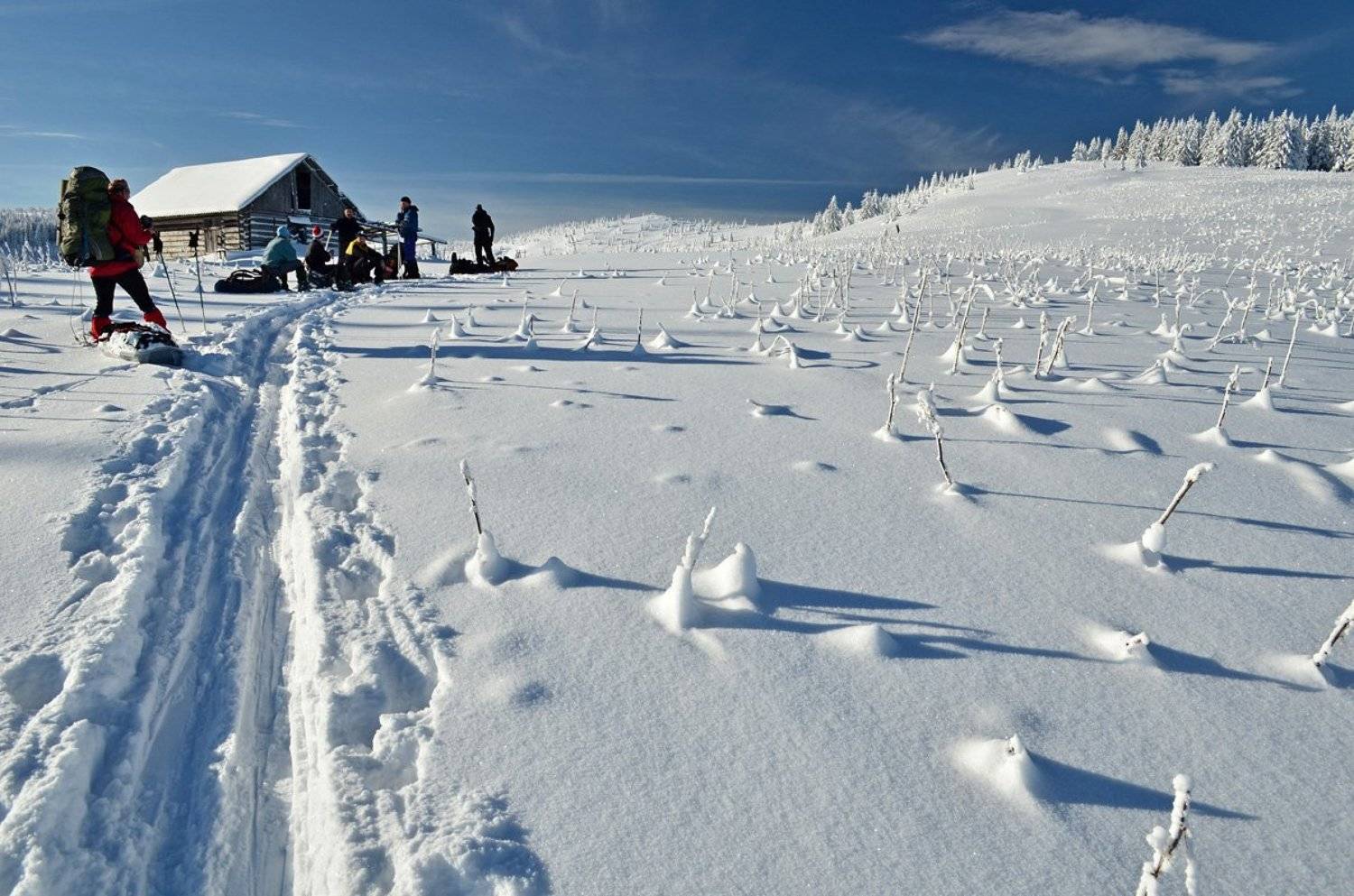 зима, карпати, гори, сніг, колиба, лижня, Плішко Андрій