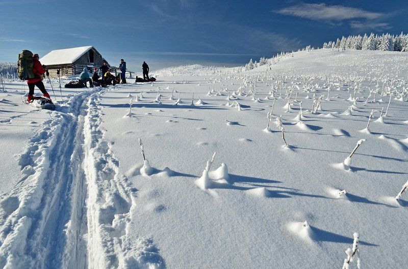 зима, карпати, гори, сніг, колиба, лижня Зимове життя фото превью
