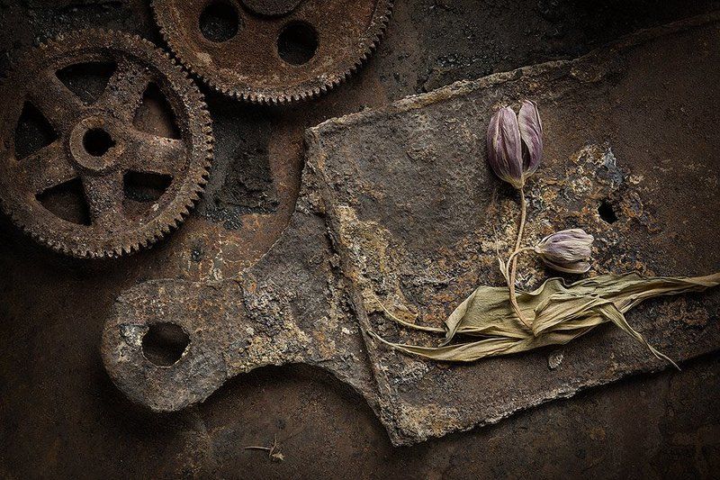 *** фото превью