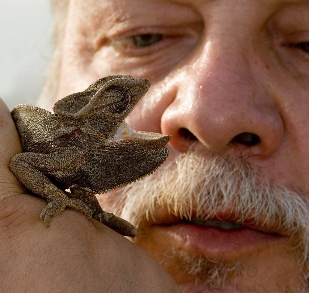 , Игорь ФУММ