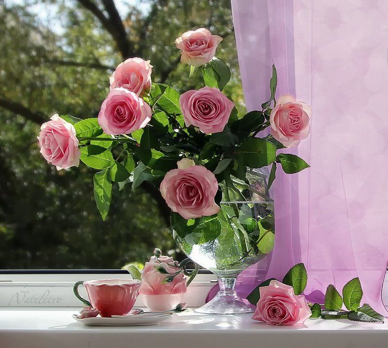 натюрморт, цветы, розы В ожидании весны фото превью