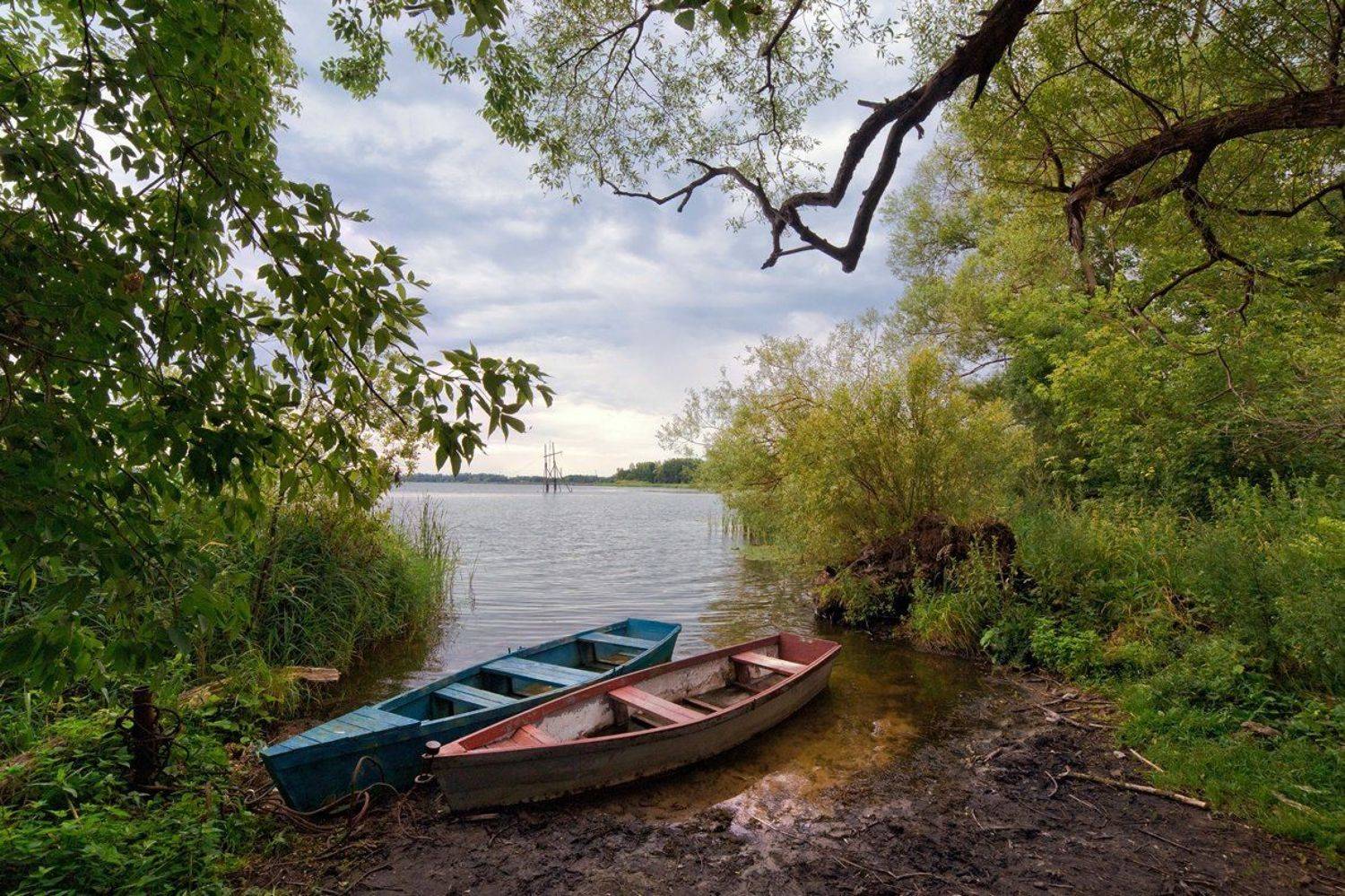 , Александр Виноградов