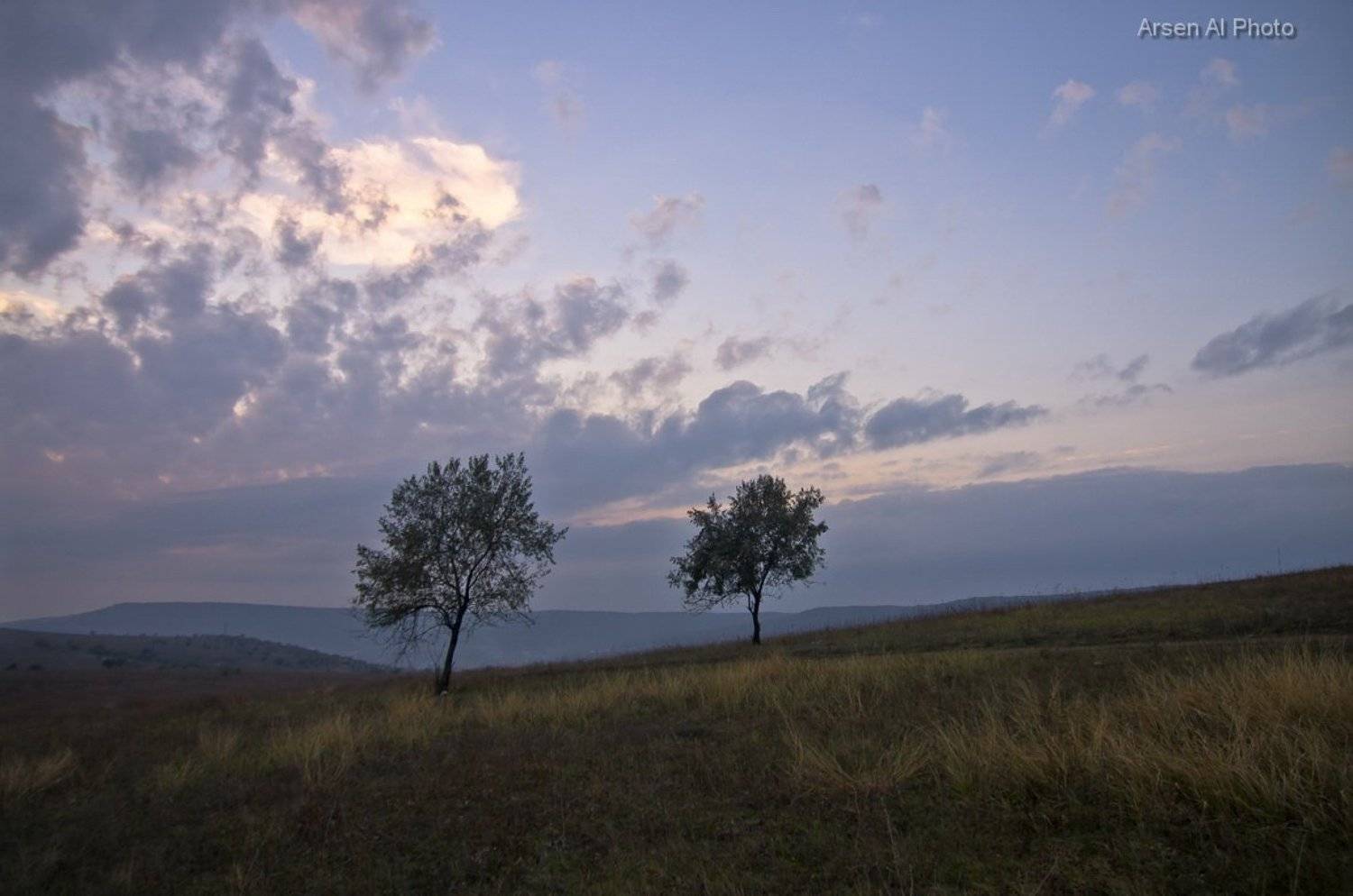 , Арсен Алабердов