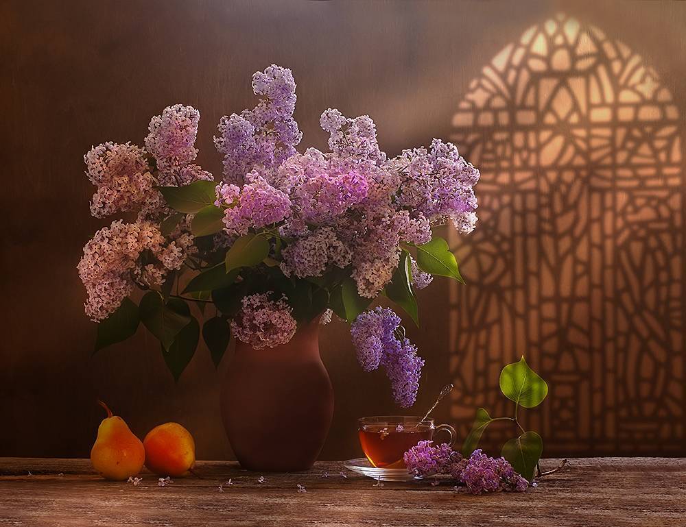 , Ирина Фурашова