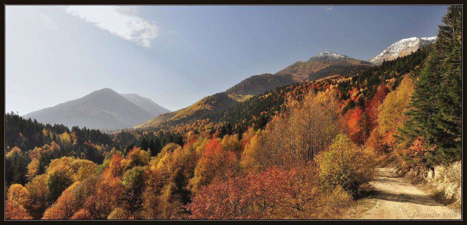 , Александр Круль