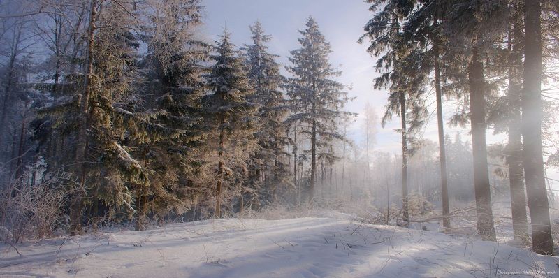 Прекрасные чувства.... фото превью
