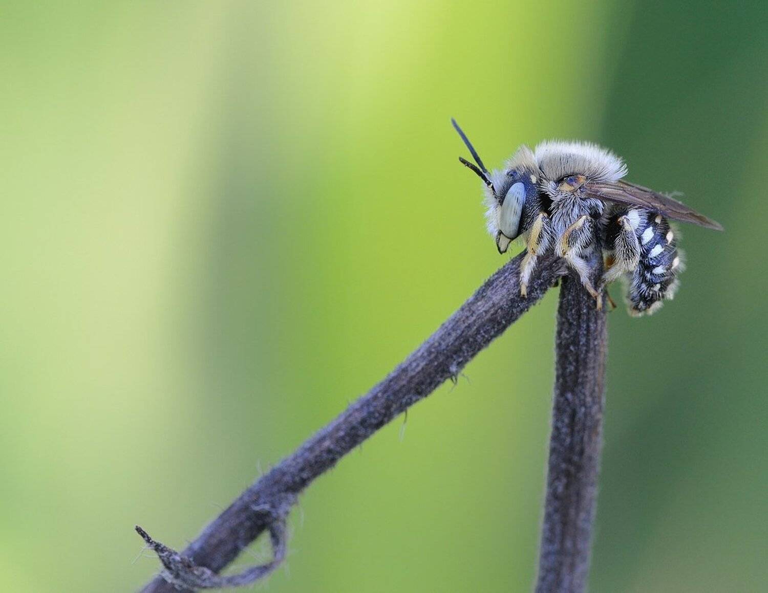 , Кузнецов Дмитрий