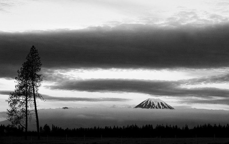 Средиземье. Особенная Новая Зеландия. фото превью
