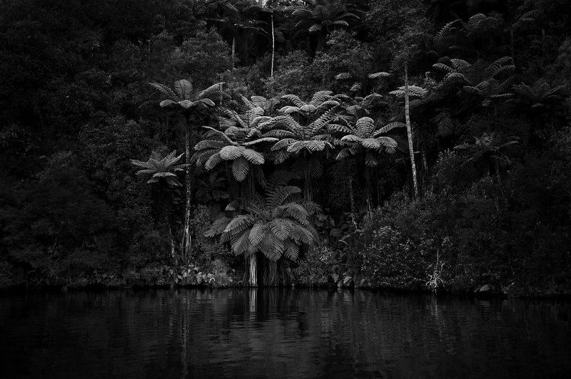 Средиземье. Особенная Новая Зеландия.(ч.2) фото превью