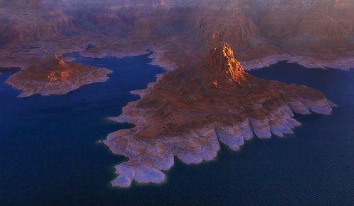 Рассветной птицей